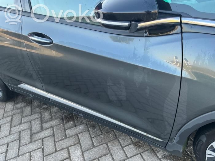Priekinės durys   42536760