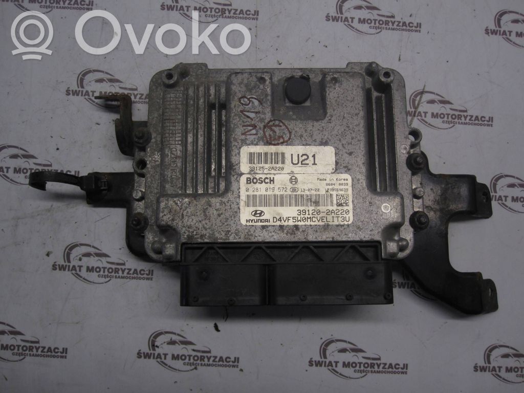 Engine control unit/module   0281019572,391202A220