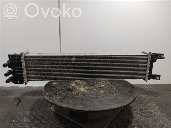 Ford Mondeo MK V Aušinimo skysčio radiatorius 