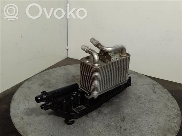 BMW 5 E60 E61 Variklio tepalo radiatorius 