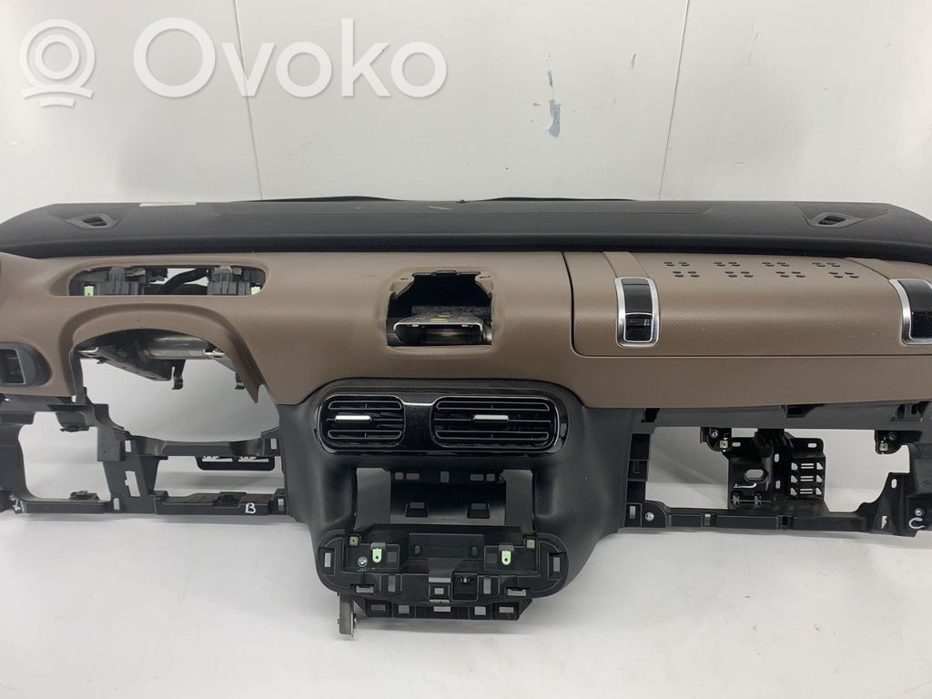 Citroen C4 Cactus Panelis 