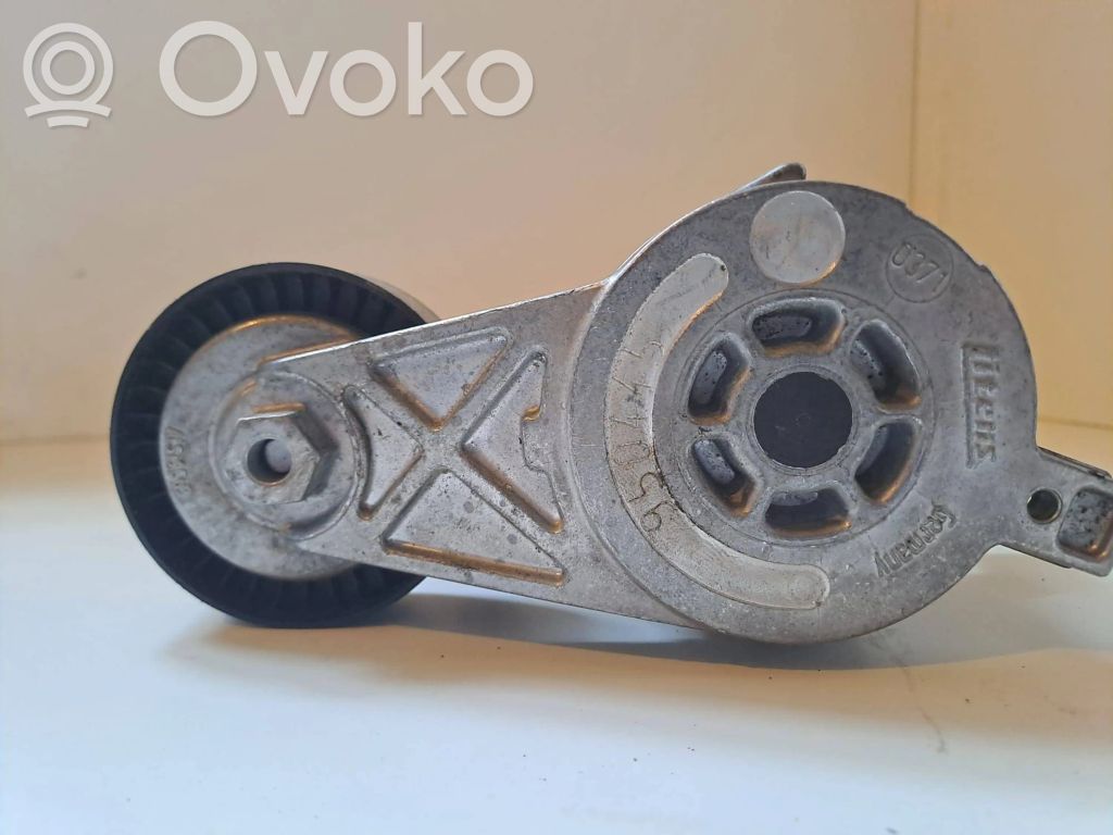 Skoda Octavia Mk2 (1Z) Întinzător curea generator/alternator 