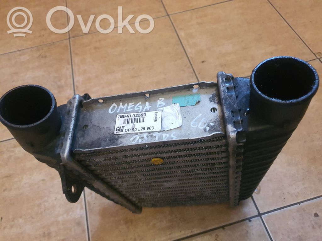 Interkūlerio radiatorius   DP90529903,BEHR02593