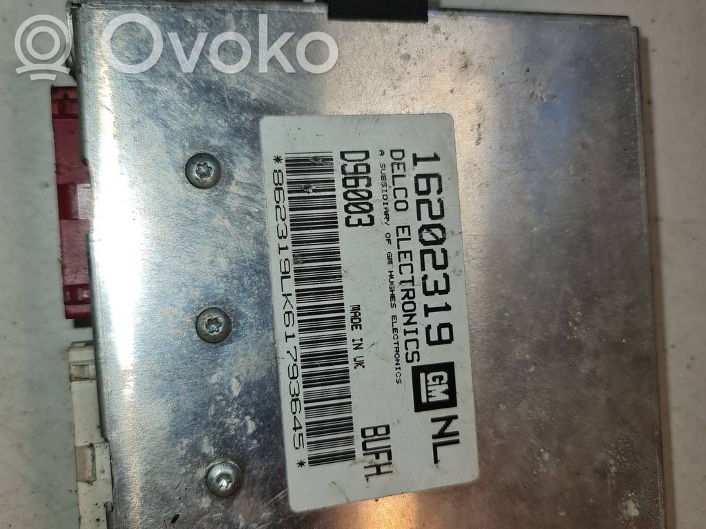 Engine control unit/module   16202319,096003