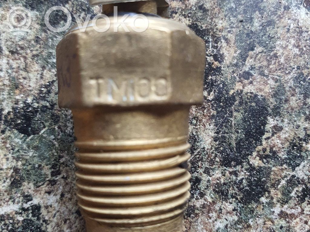 Sensor de temperatura del refrigerante   TM100