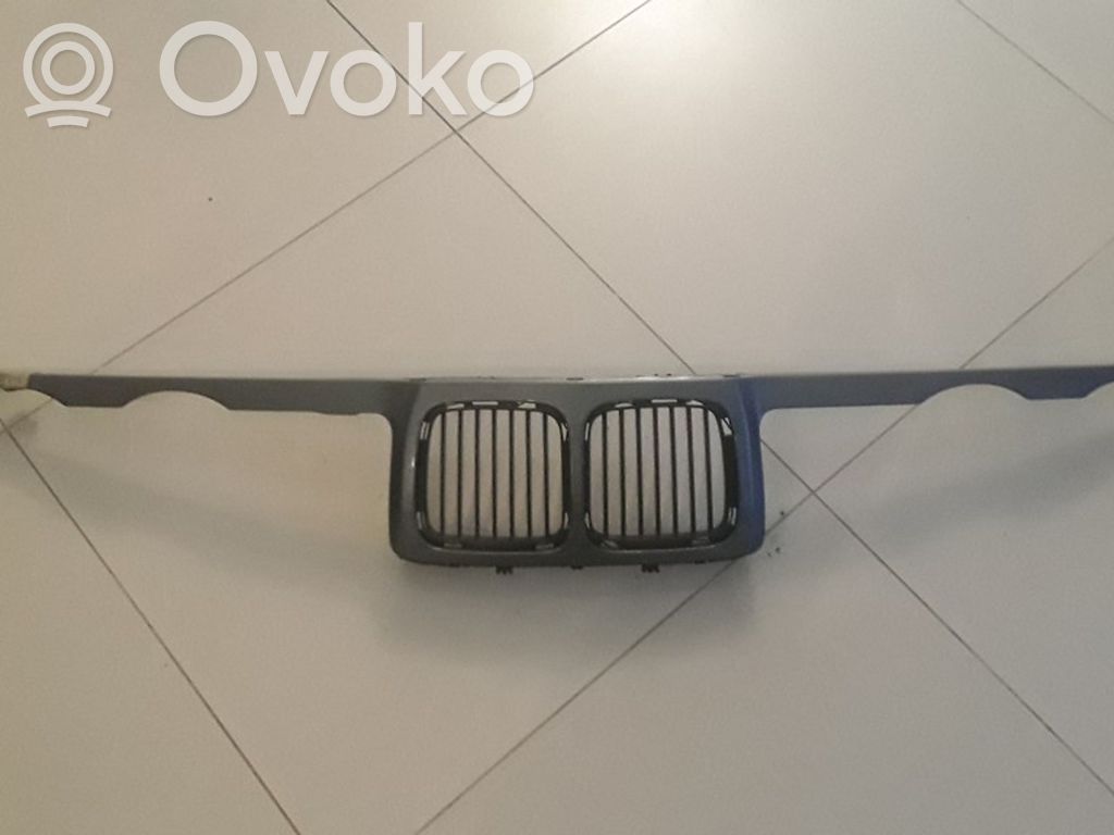 Front grill   51131973825