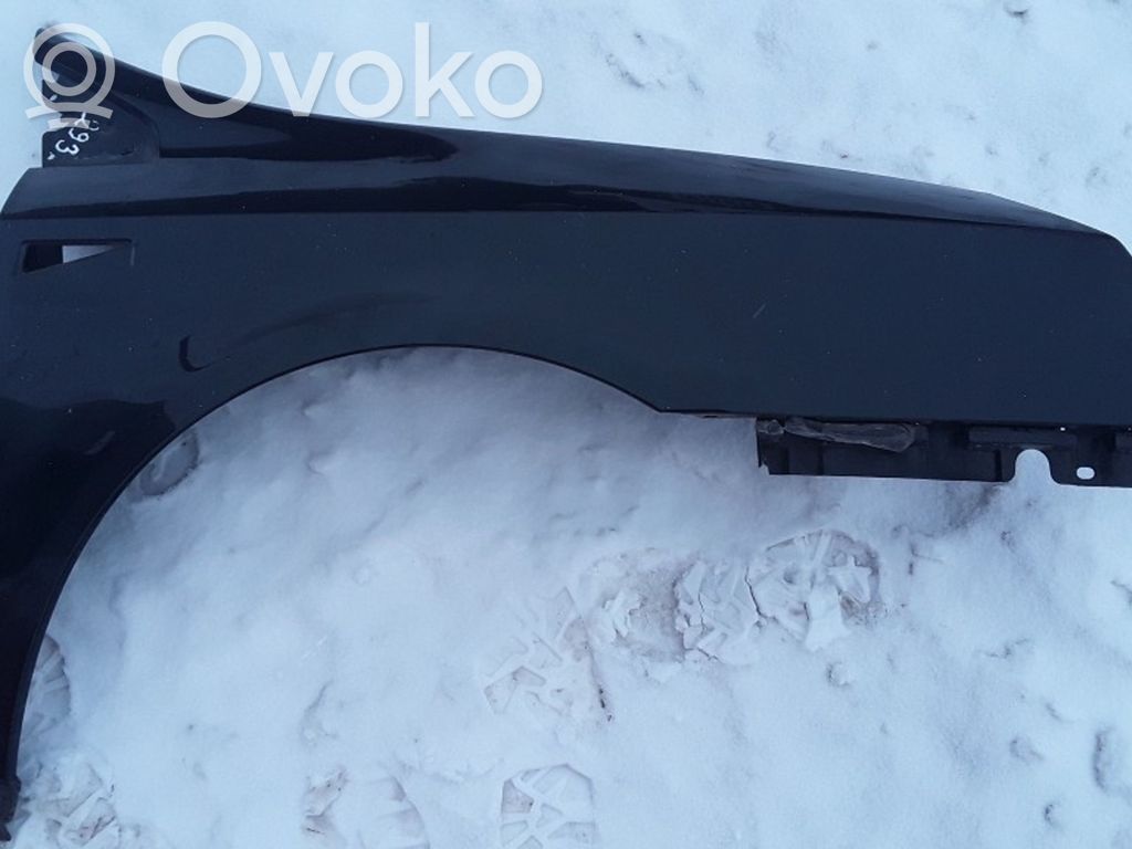 Renault Vel Satis Guardabarro 