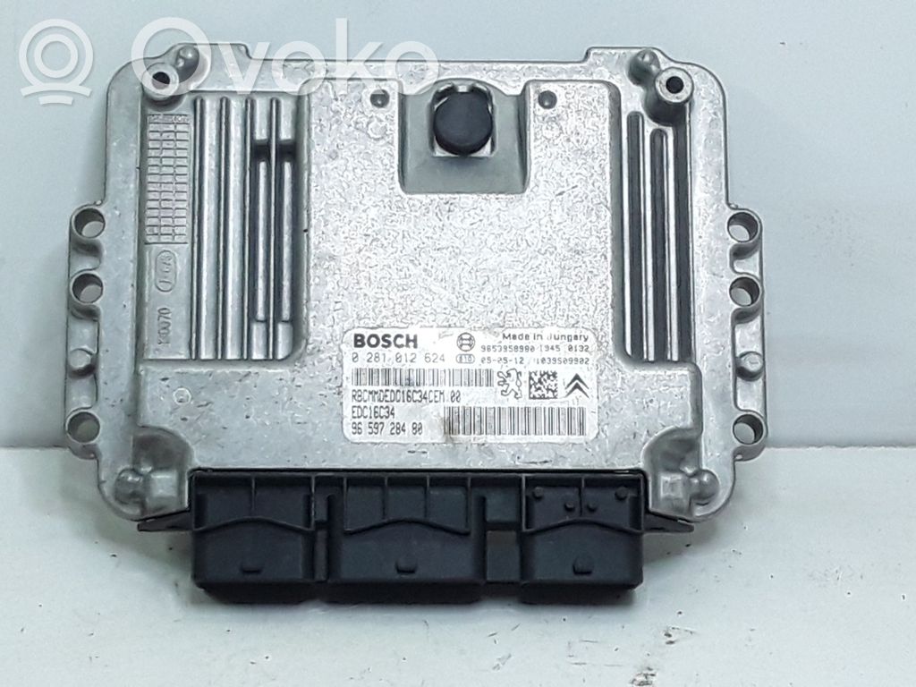 Citroen C5 Engine control unit/module 