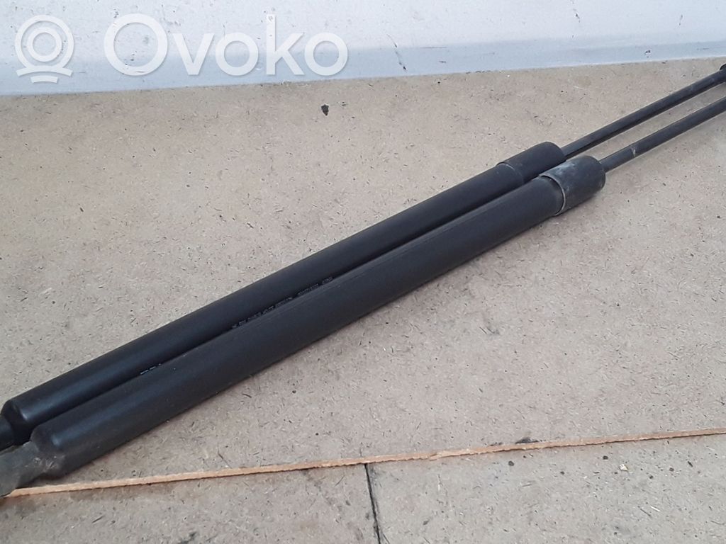 Tailgate/trunk strut/damper   8200219322