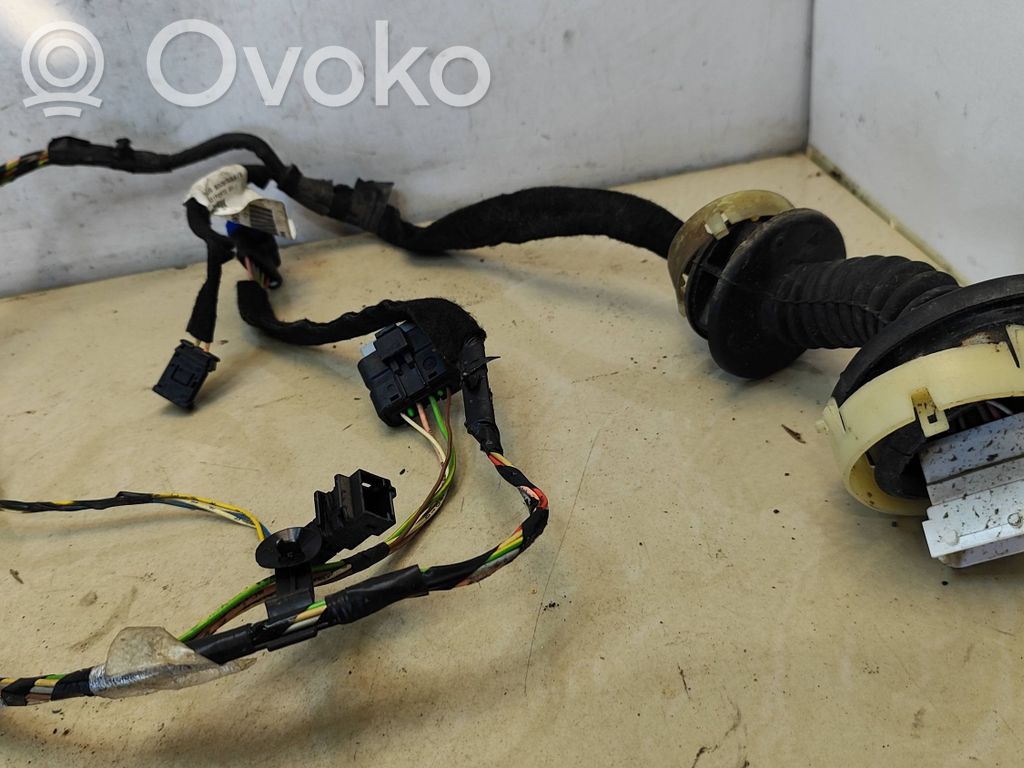 Citroen C3 Cableado de puerta delantera 