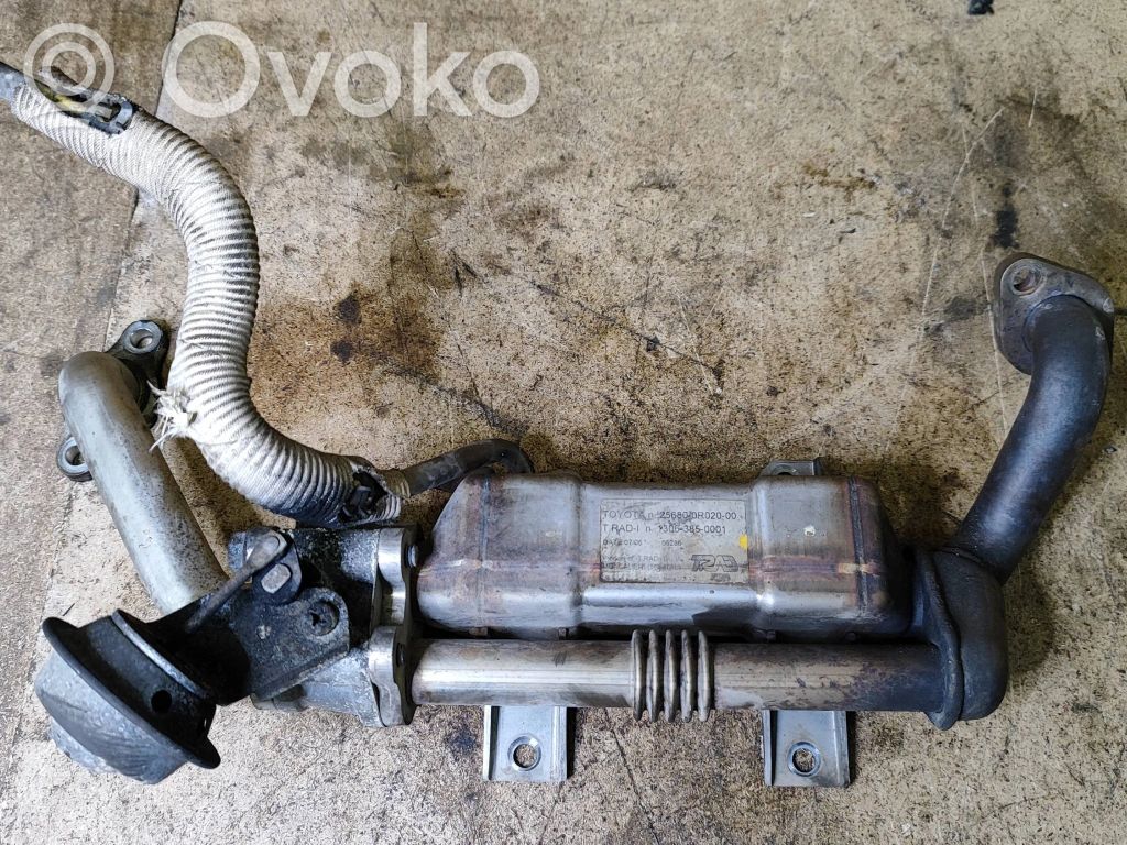Toyota Avensis T250 Chłodnica spalin EGR 