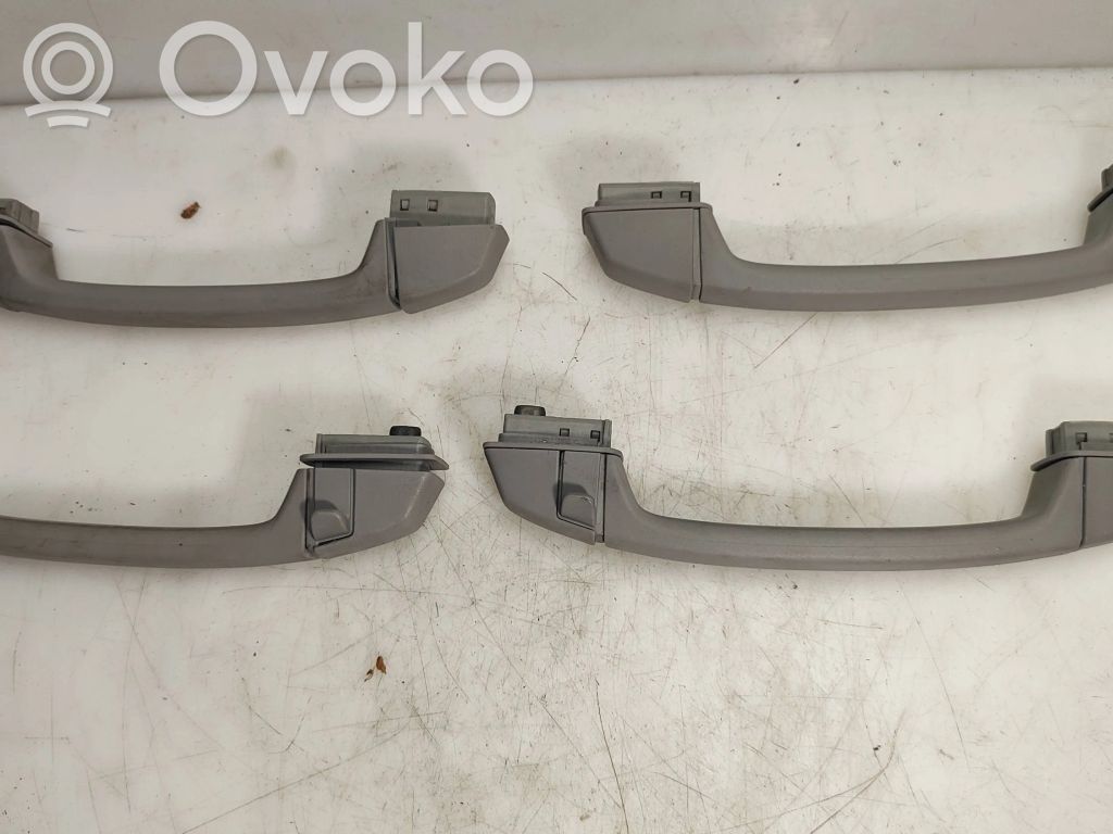 Asidero interior delantero   201222012