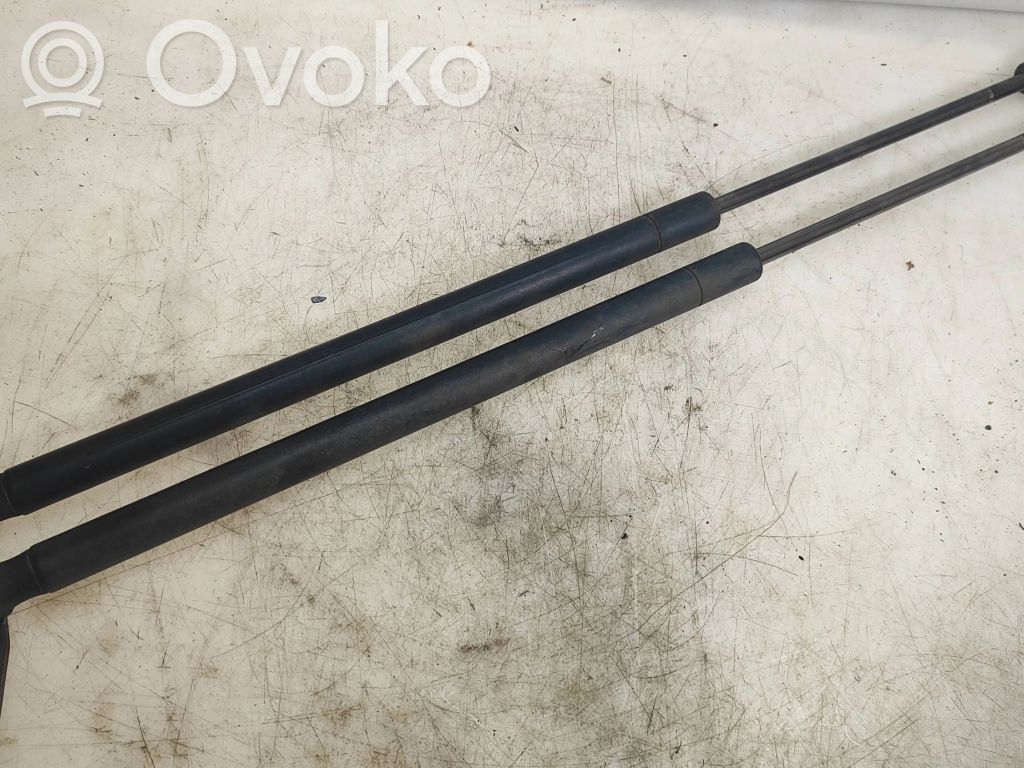 Smart ForFour I Tailgate/trunk strut/damper 