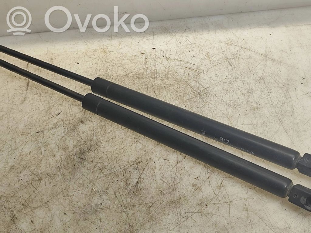 Hyundai Santa Fe Tailgate/trunk strut/damper 