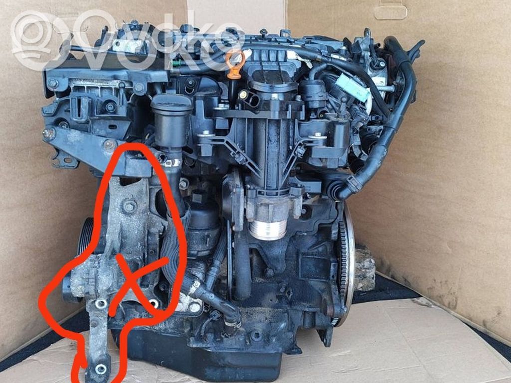 Variklis   9688418110
