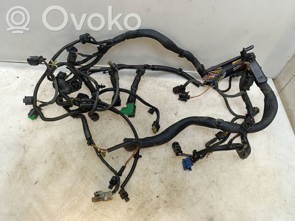 Engine installation wiring loom   V754806480,7548064