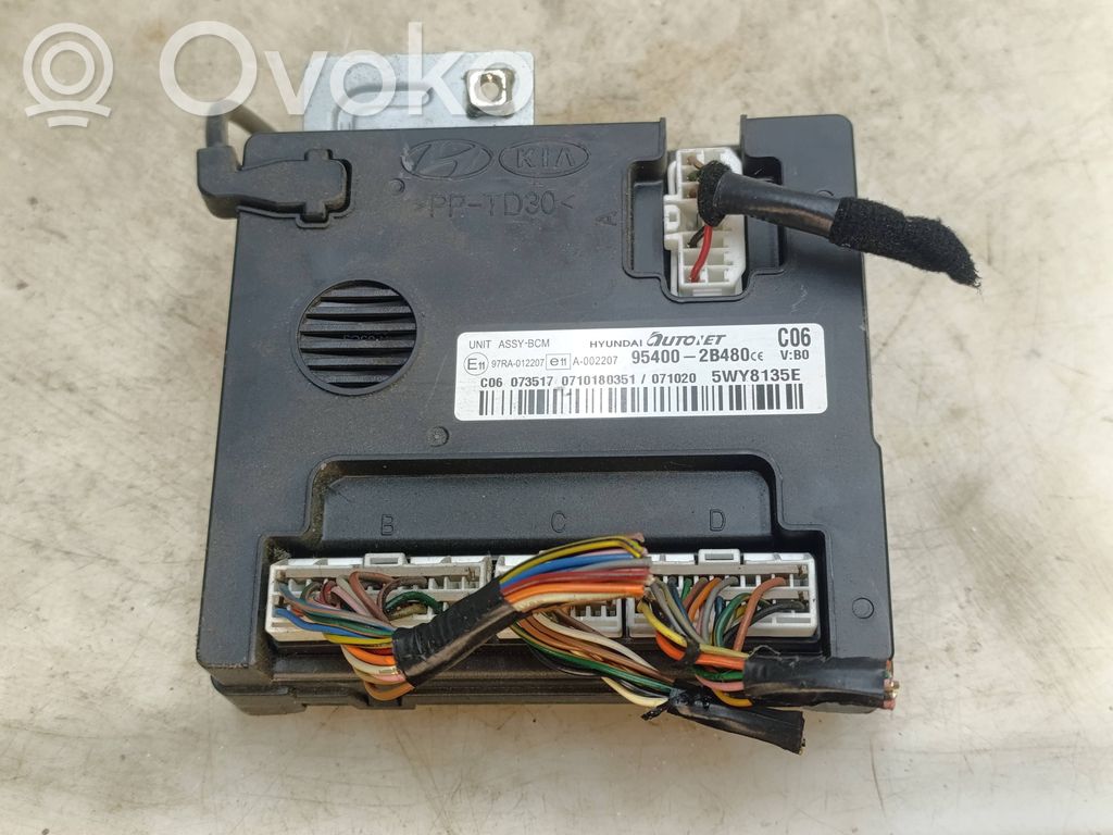 Immobilizer control unit/module   954002B480,5WY8135E,97RA012207
