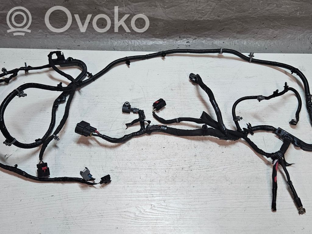Chrysler Pacifica Other wiring loom 