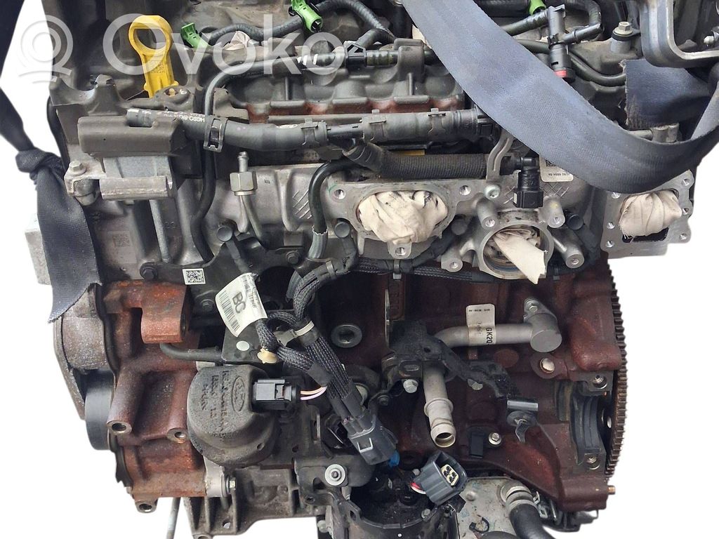 Moteur   BCCC,137454646444,43365745424544500