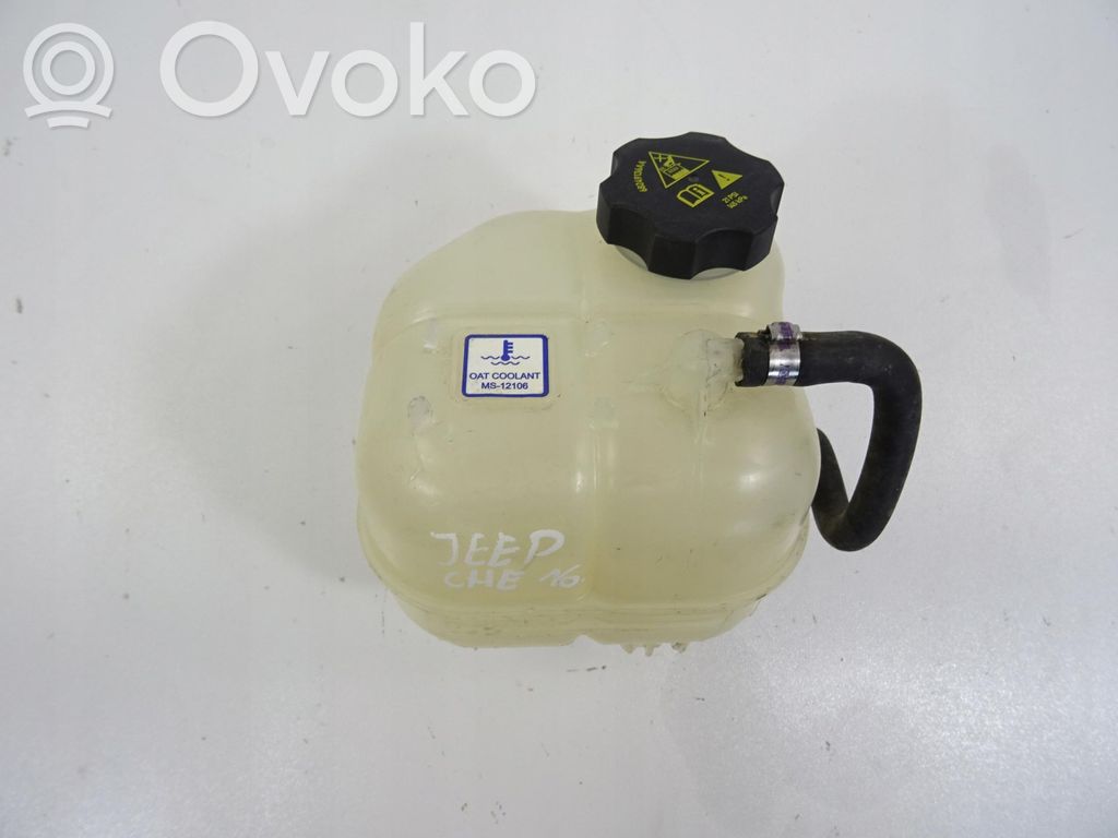 Zbiornik wyrównawczy chłodziwa   68102155