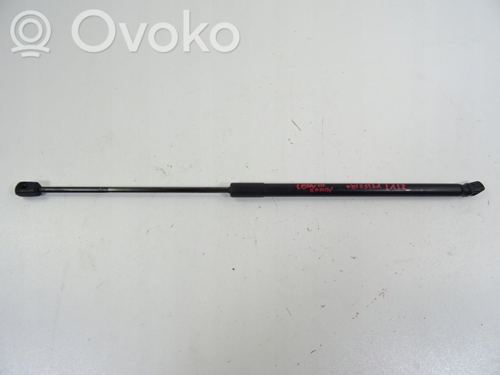 Tailgate strut   5F9827550B