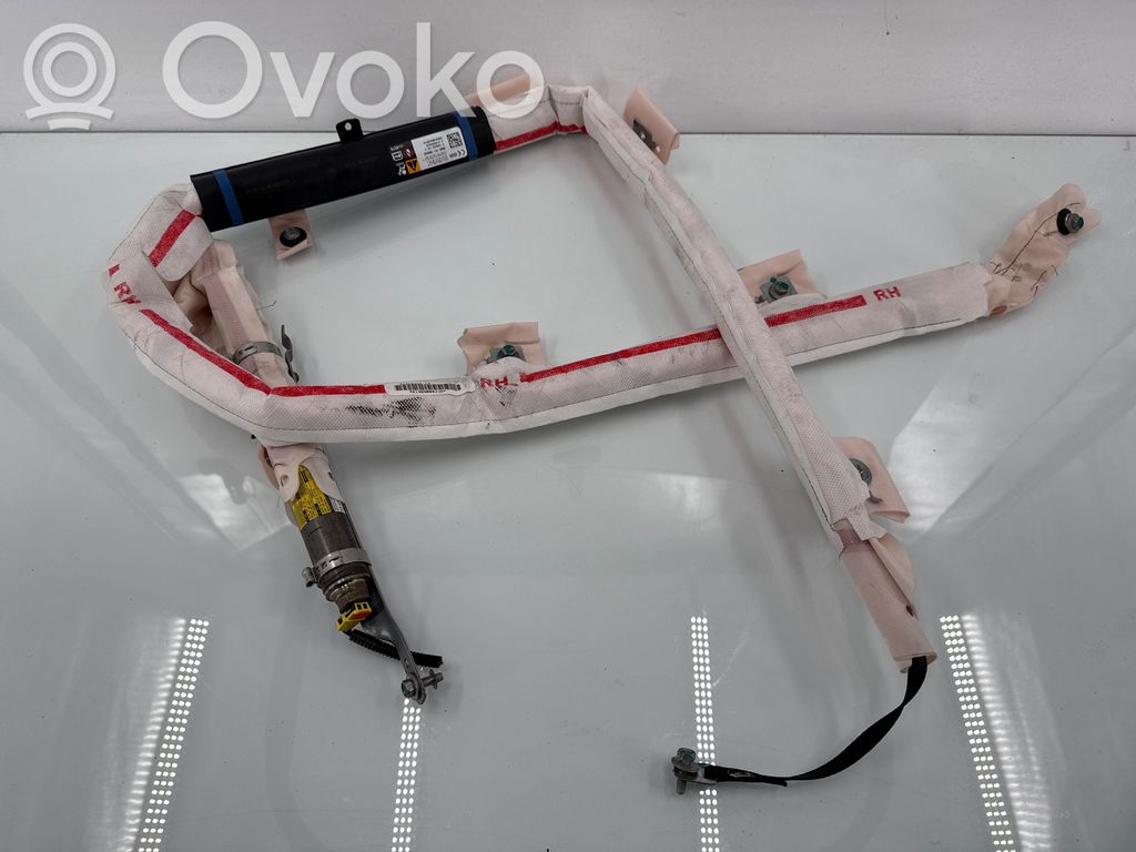 Tesla Model S Airbag del techo 