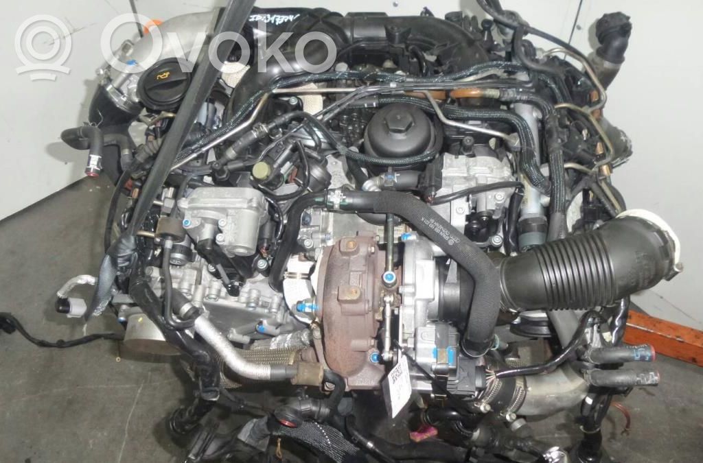 Motor   BPP,037842
