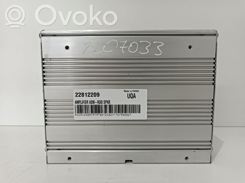Alte unități/module de control   22812209