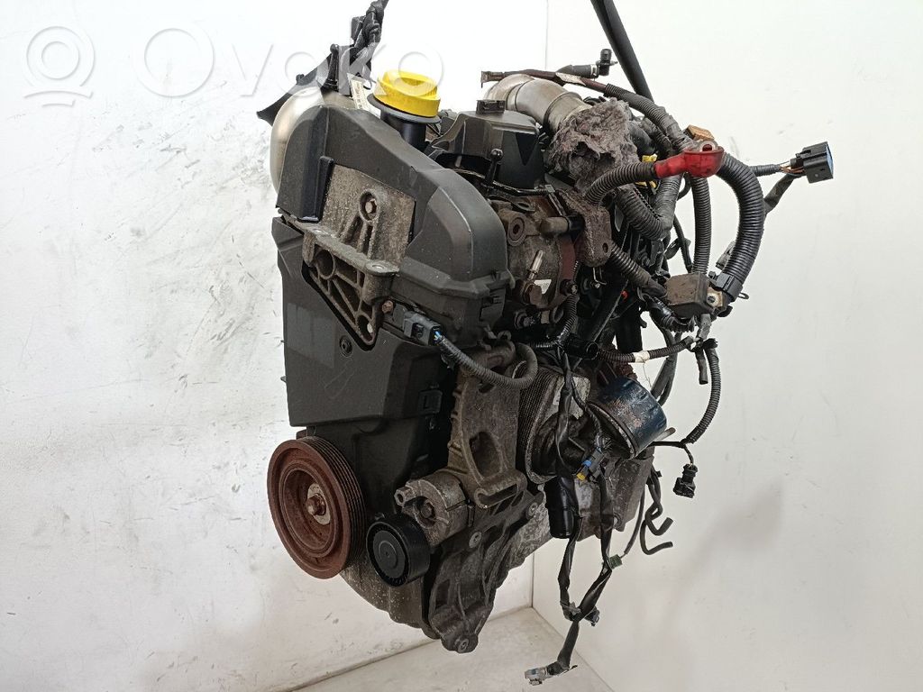 Motor   K9K,036516,276