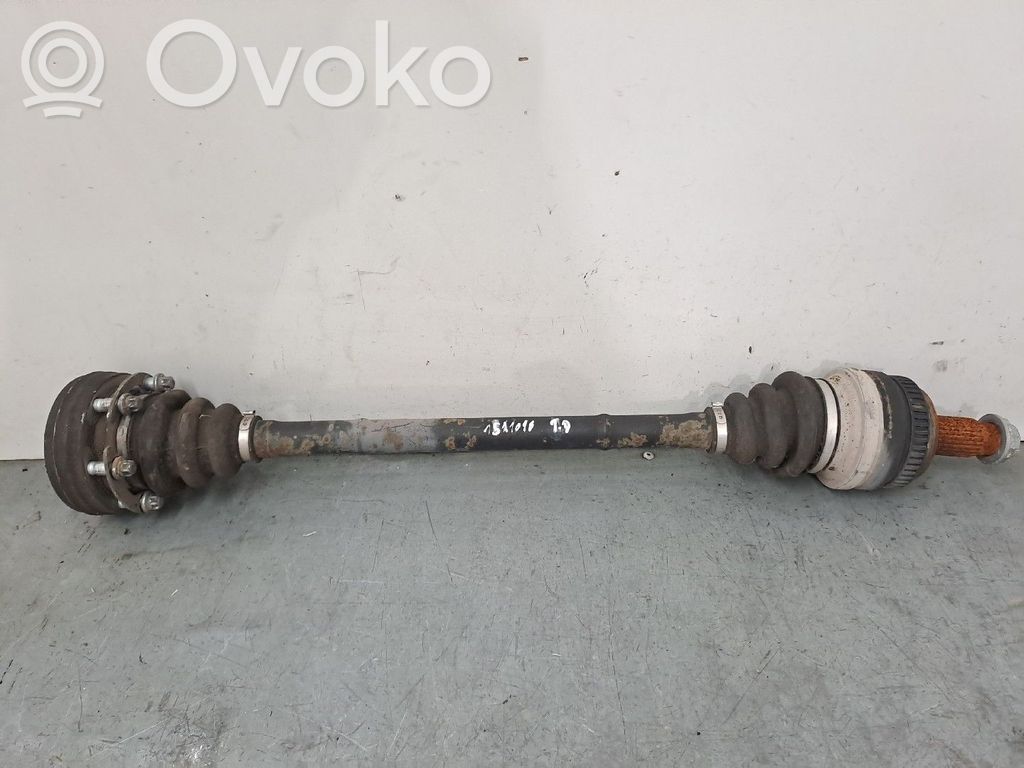 Rear driveshaft   7533446AI01
