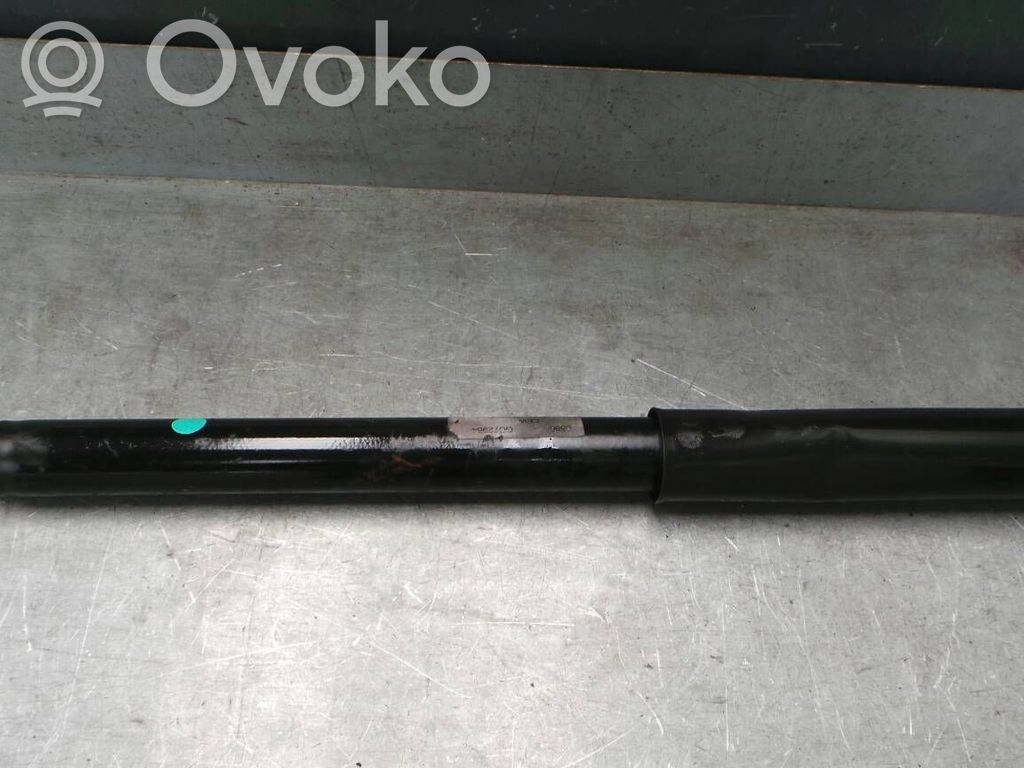 Stoßdämpfer hinten   1702053
