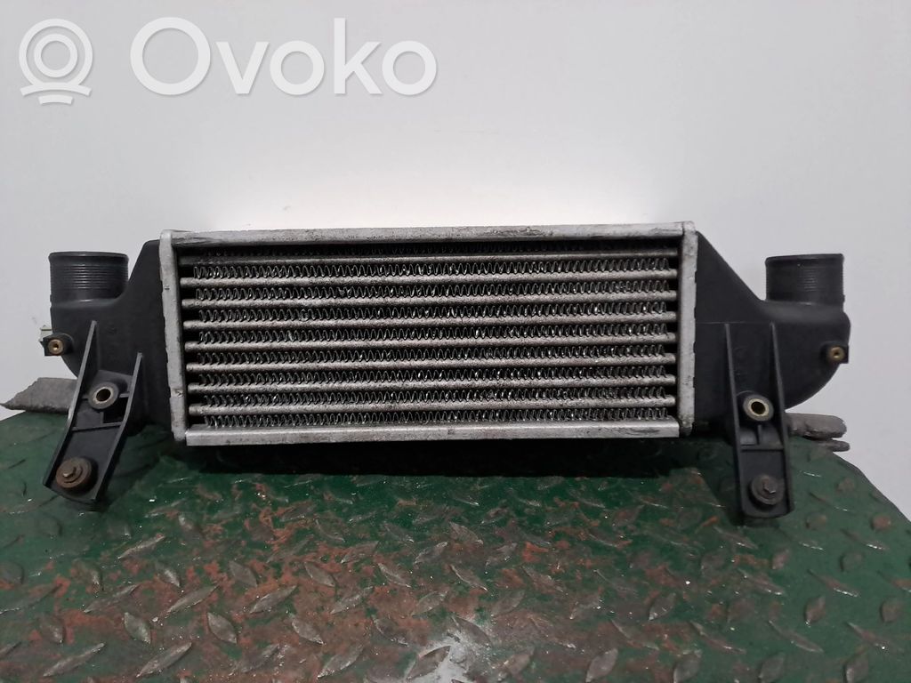 Välijäähdyttimen jäähdytin   XS4Q9L440CA