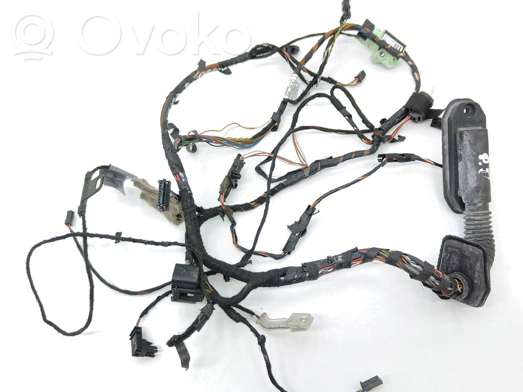 BMW X5 E70 Cableado de puerta delantera 