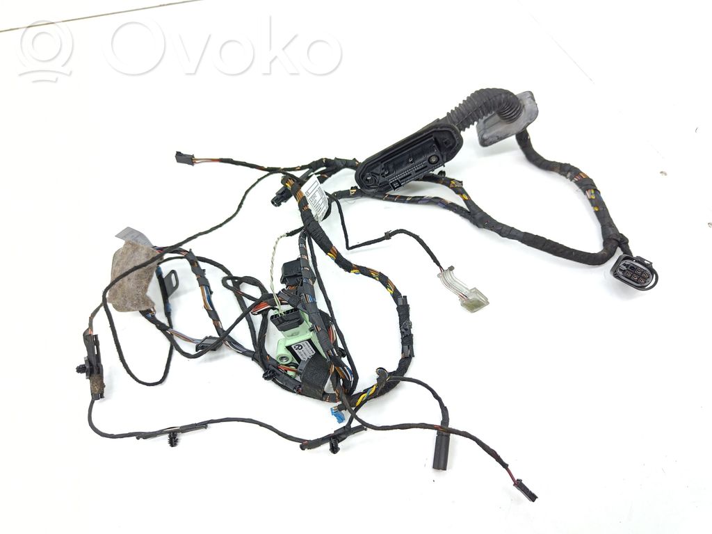 BMW X5 E70 Cableado de puerta delantera 