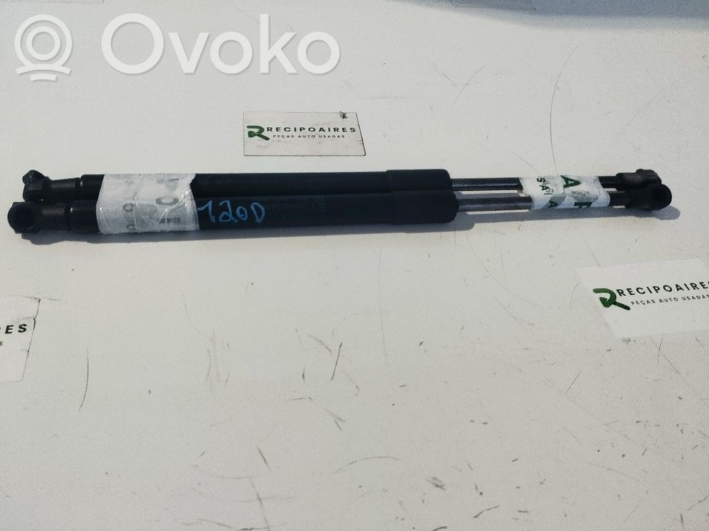 Tailgate/trunk strut/damper   51247166758