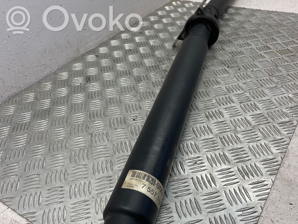 Drive shaft (set)   7557161