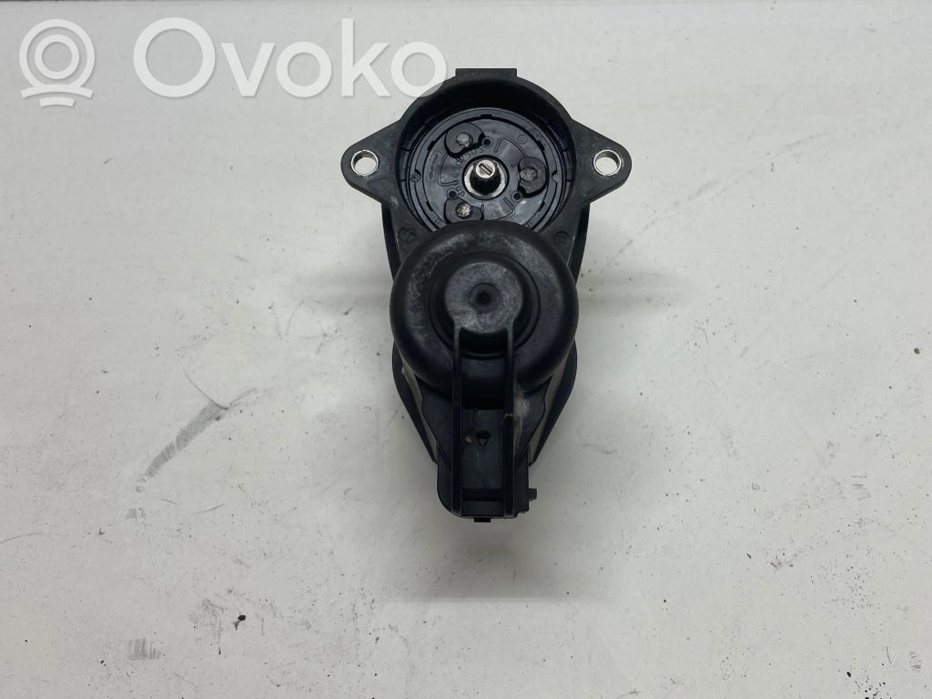 Takajarrusatula   4M0405FP,4M0405