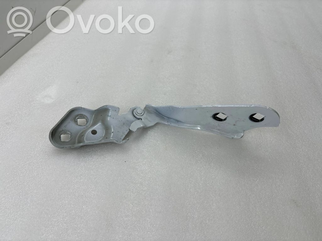 Tesla Model 3 Cerniere del vano motore/cofano 