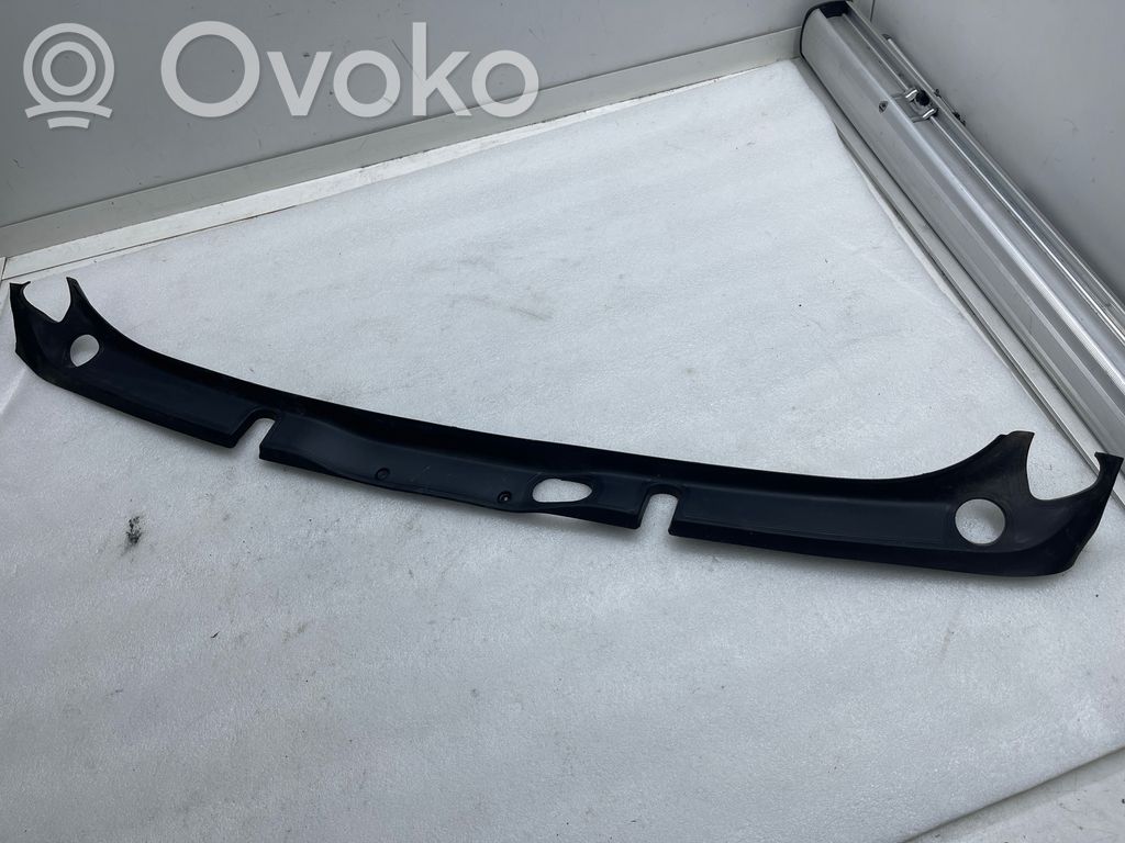 Tesla Model Y Tailgate trim 