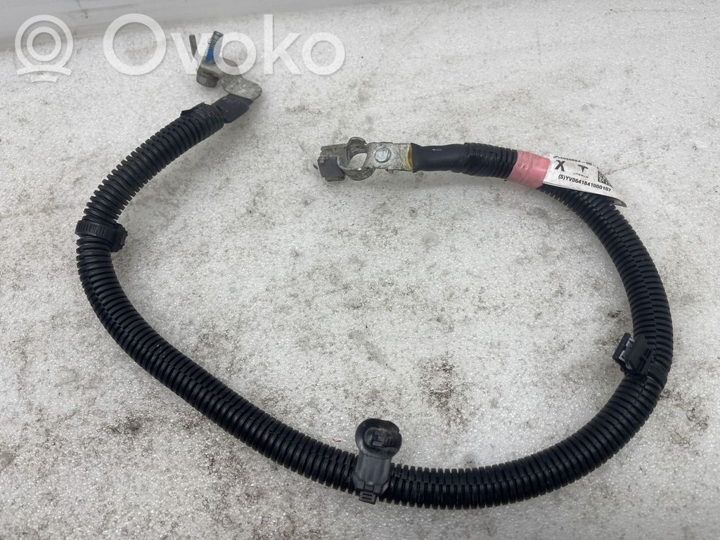 Tesla Model X Mīnusa vads (akumulatora) 