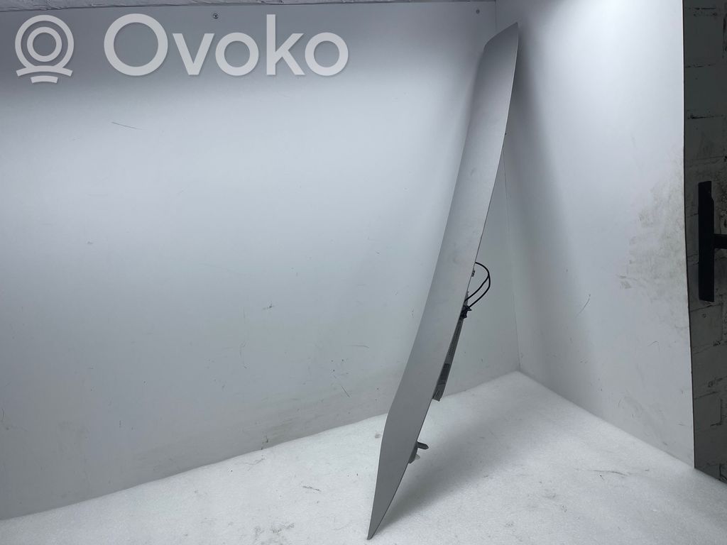 Tesla Model 3 Moldura del pillar (D) (Inferior) 