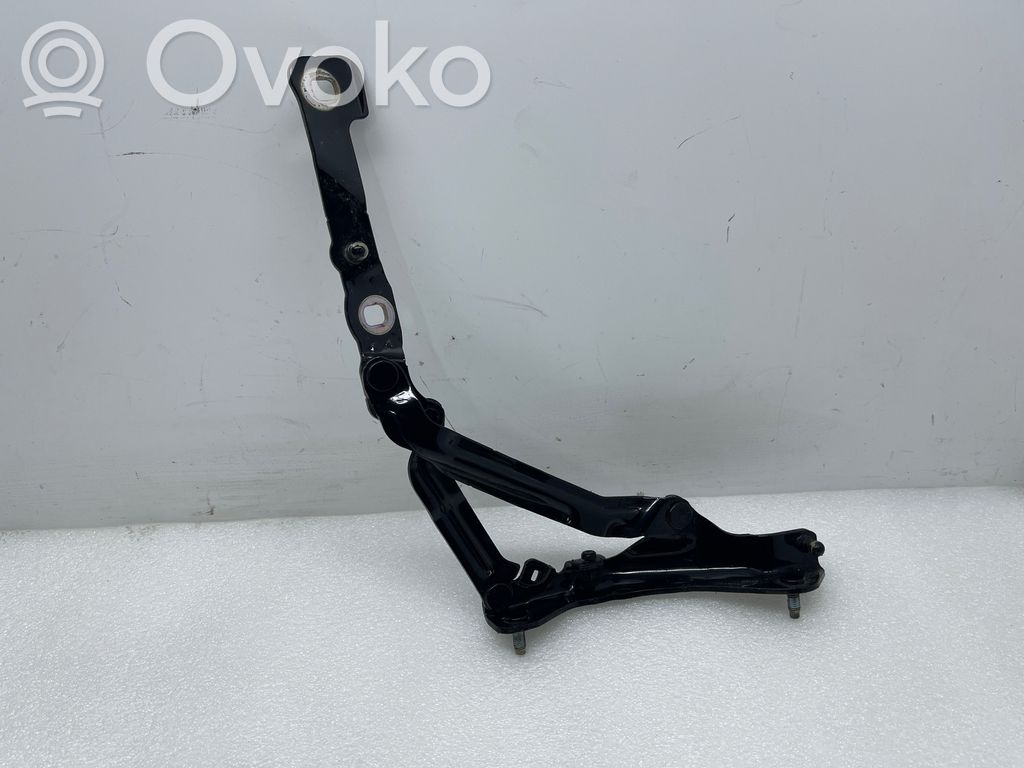 Tailgate/trunk/boot hinge   155148100F,23117