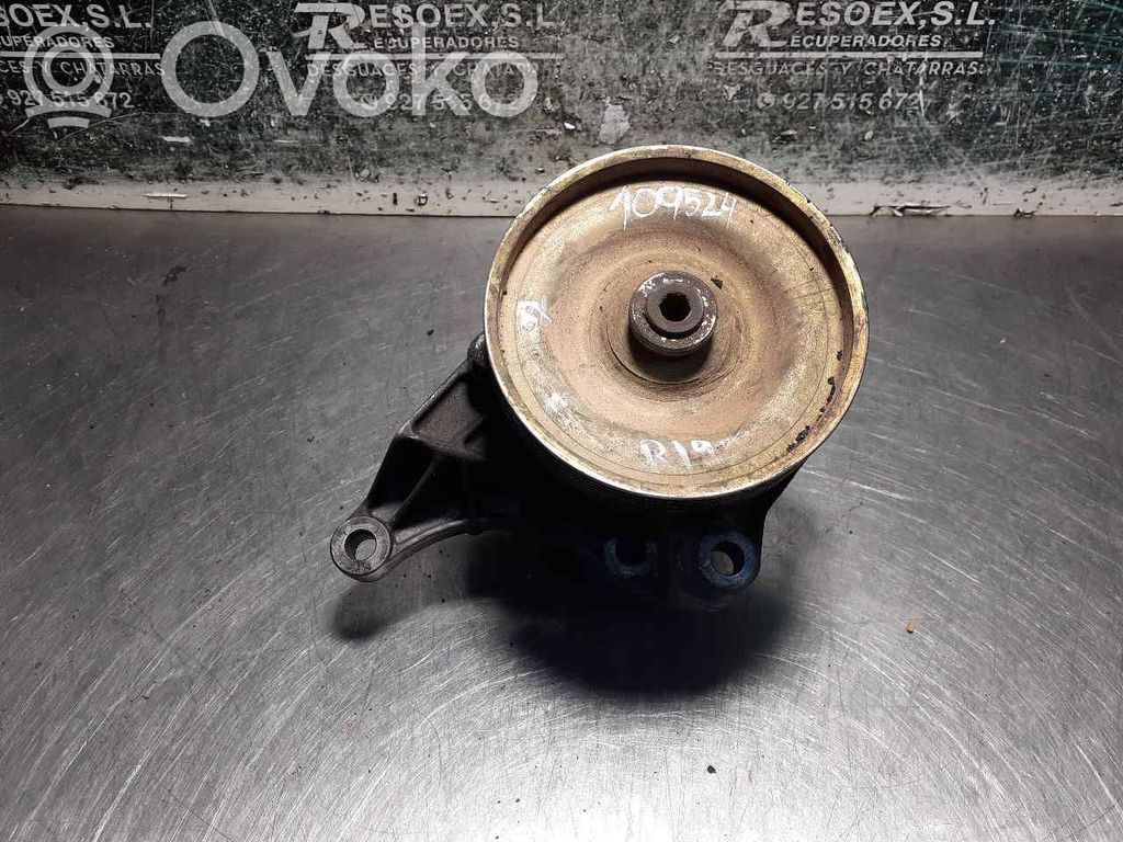 Renault 19 Pompa servosterzo 