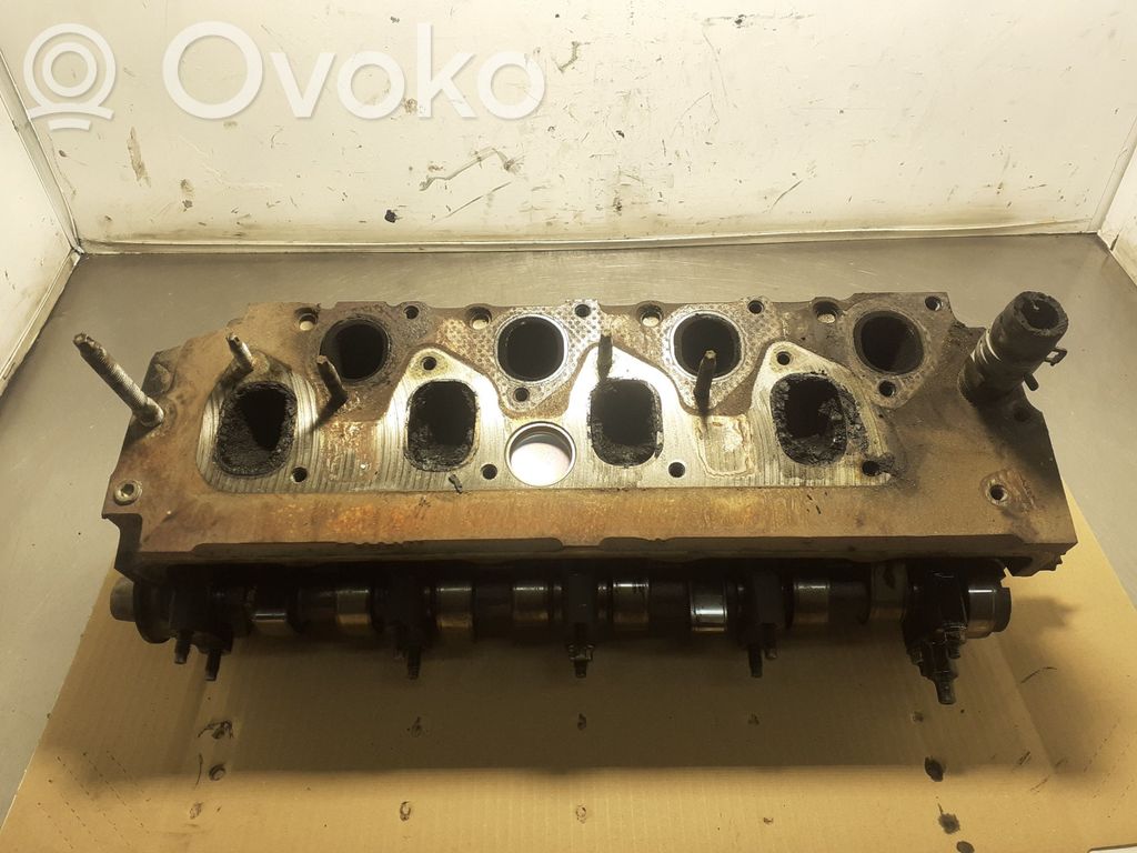 Galvutė   XS406090AD