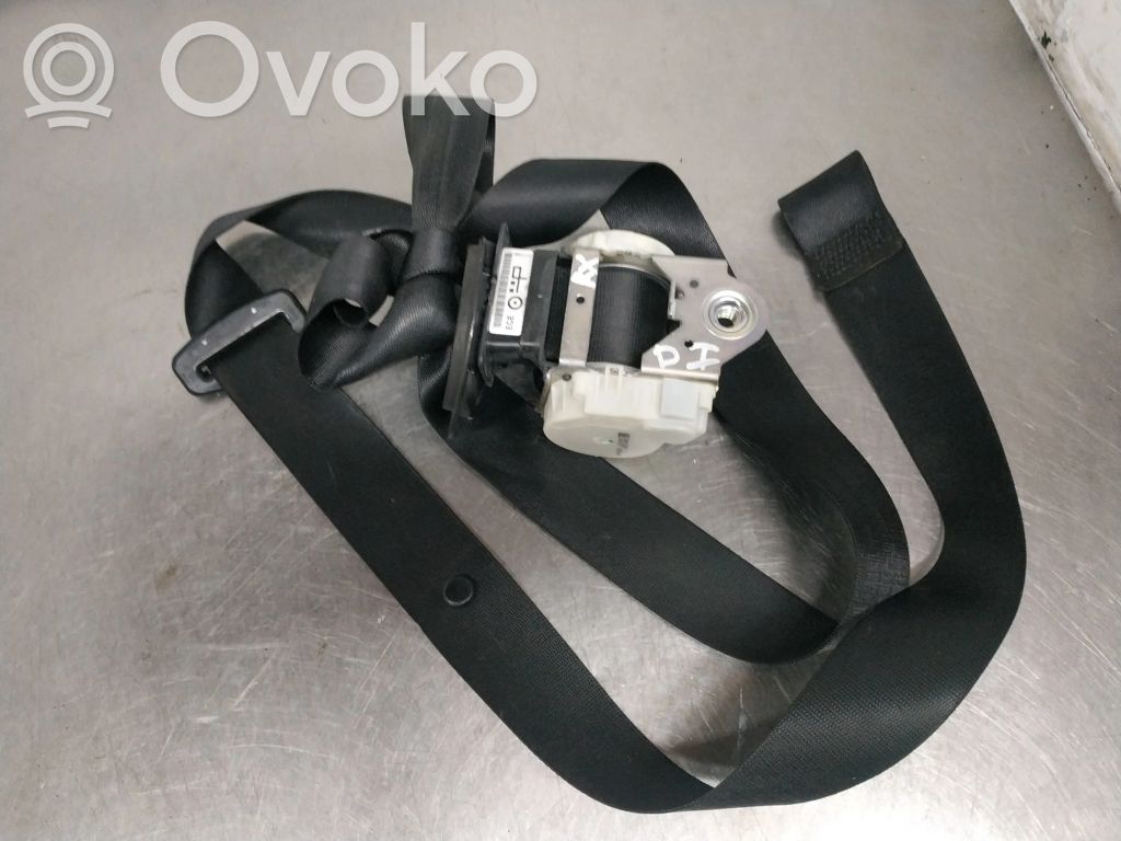 Cinturón delantero   340032671