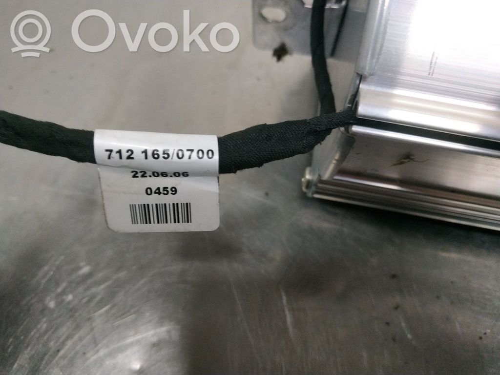 Airbag del pasajero   397039708121