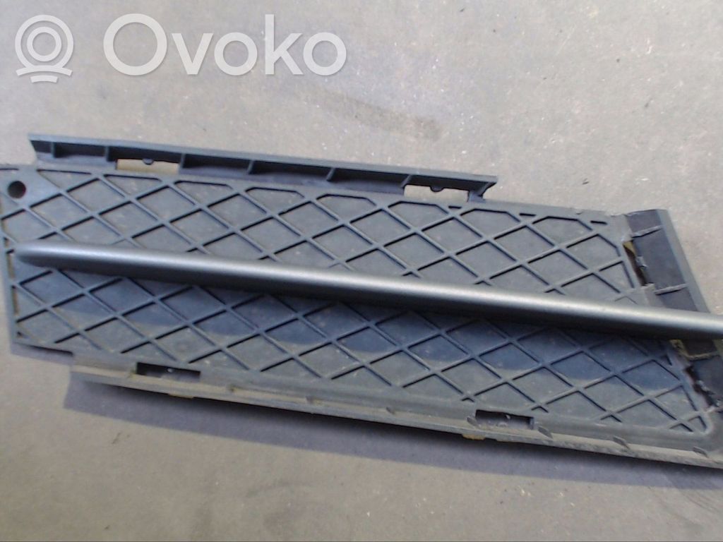 Front bumper lower grill   7178994