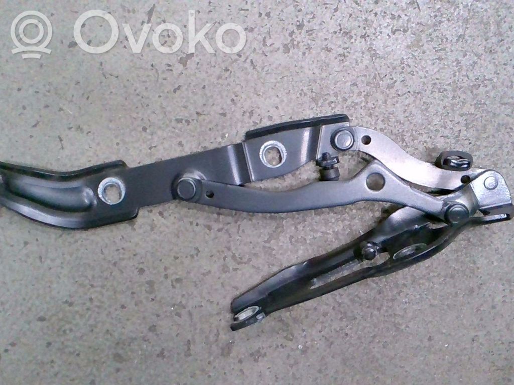 Tailgate/trunk/boot hinge   7060628,41627133816
