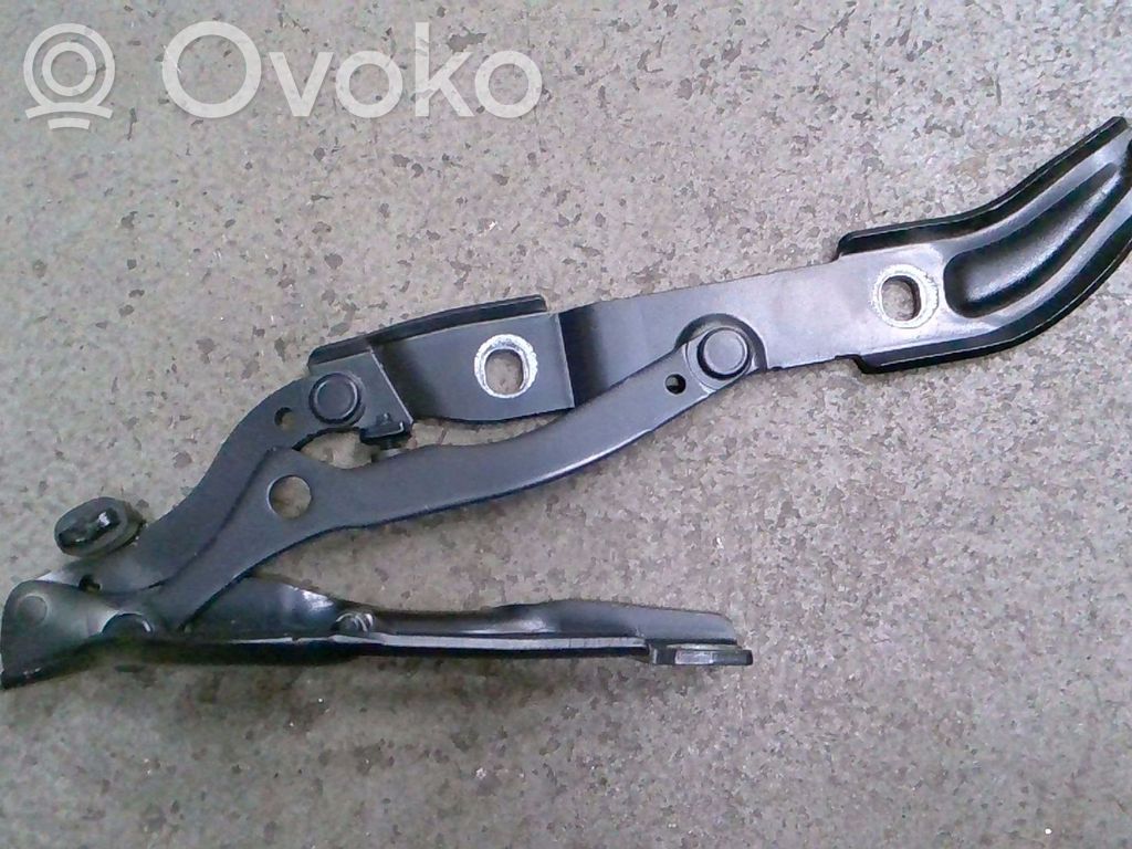 Tailgate/trunk/boot hinge   7060627,41627133815