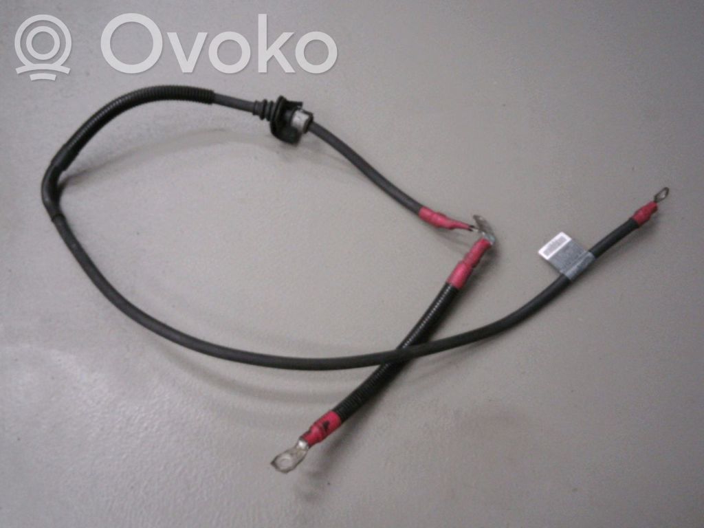 Pluskaapeli (akku)   61136910539